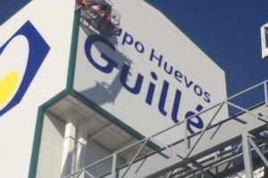 Grupo Huevos Guillén 3